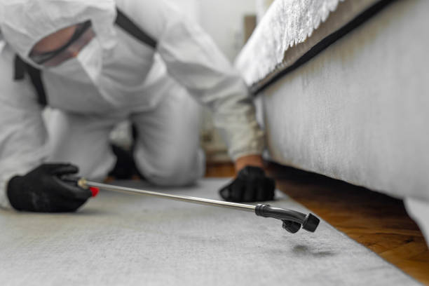 Professional Bed Bug Control technician working in Red Bank, NJ