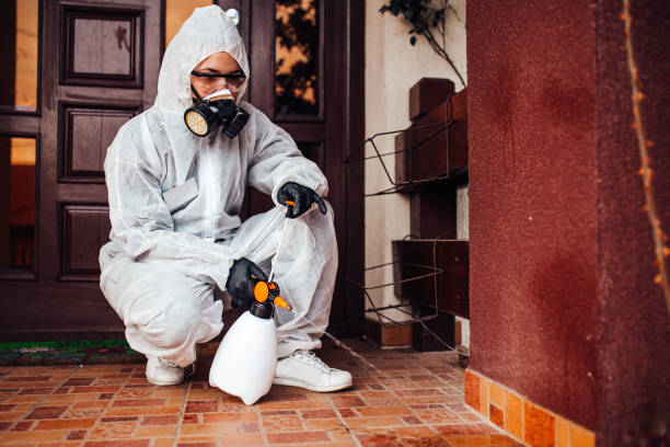 Reliable Bed Bug Control contractor in Red Bank, NJ by Nex Pest Control